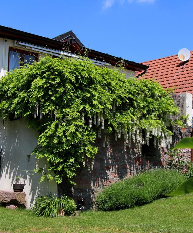Les 3 Ceps Villa Bergholtz Екстериор снимка
